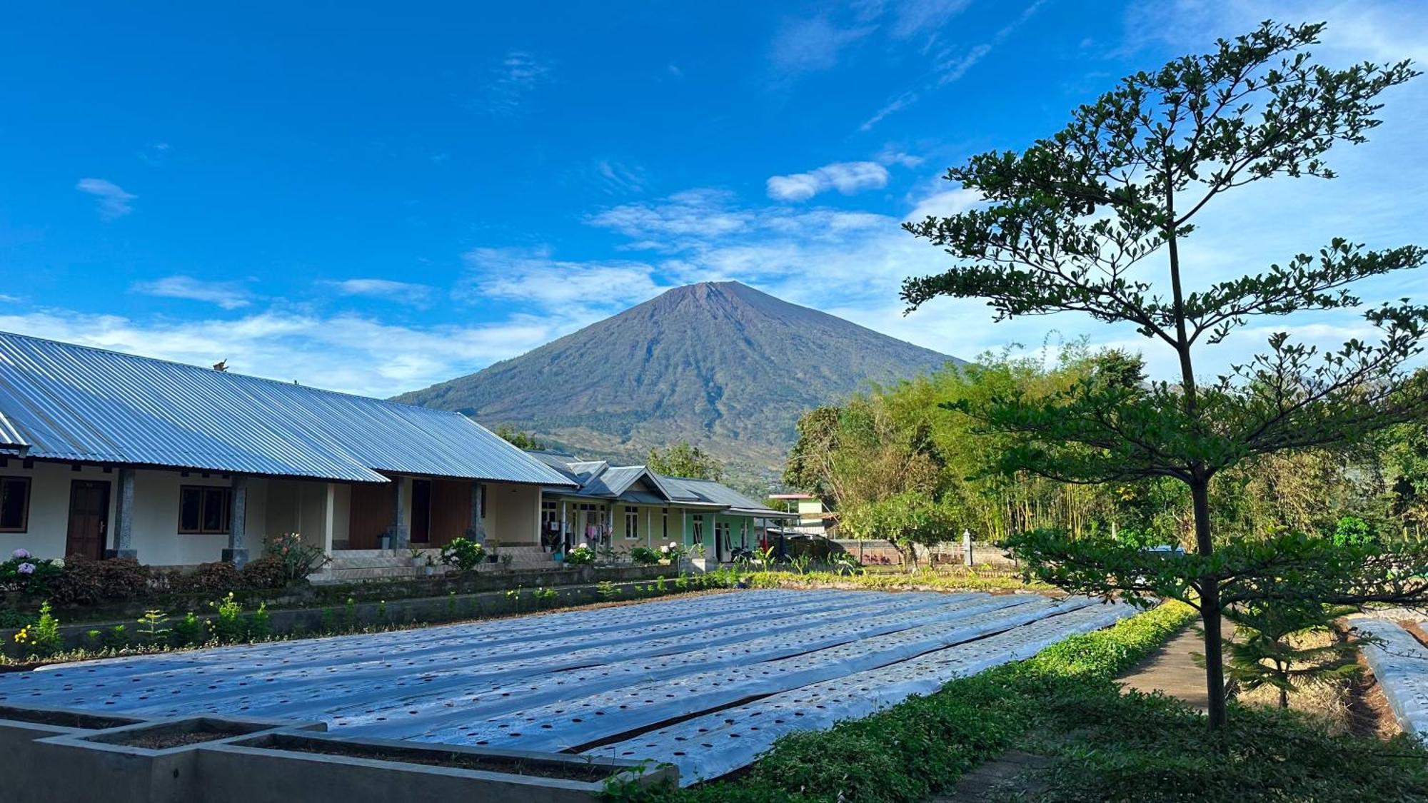 Apartamento Rautani Sembalun Sembalunlawang Exterior foto